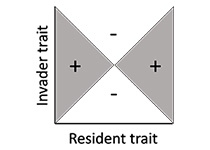 Methods in Community & Evolutionary Ecology